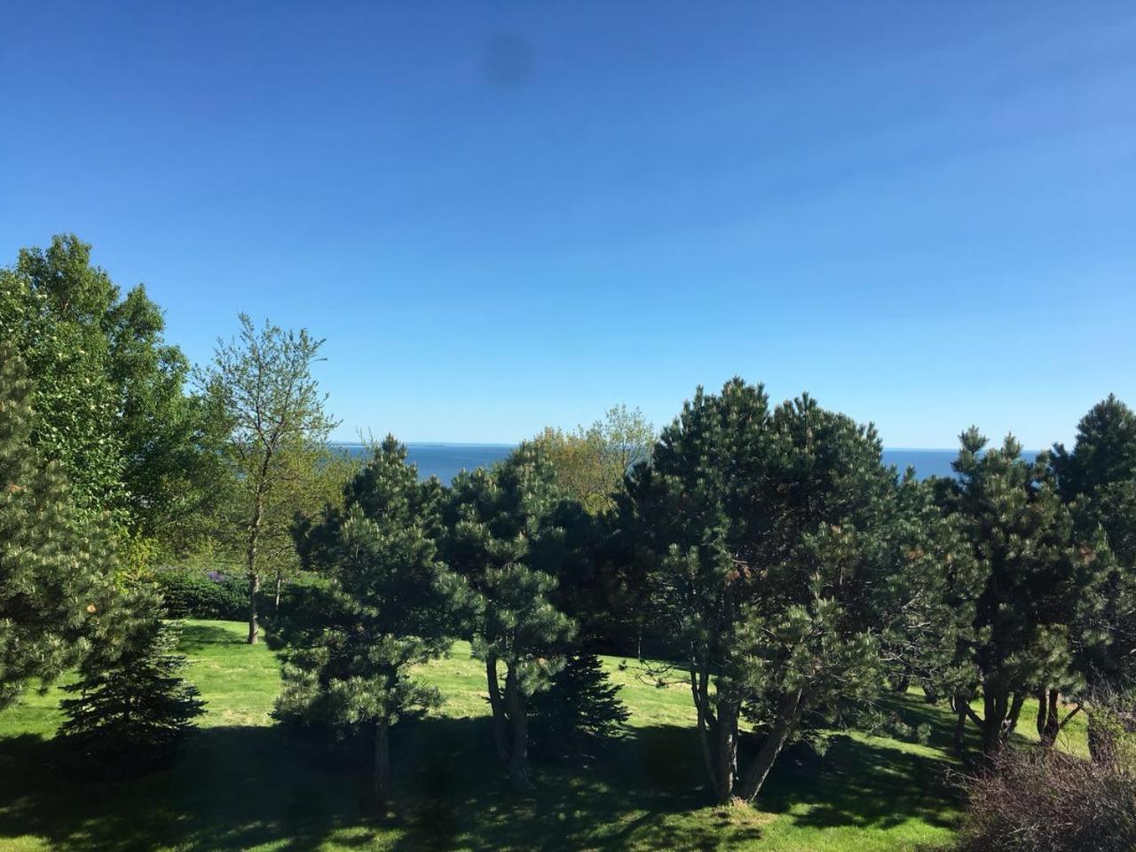 Bed and Breakfast Seaview White House Stratford Экстерьер фото